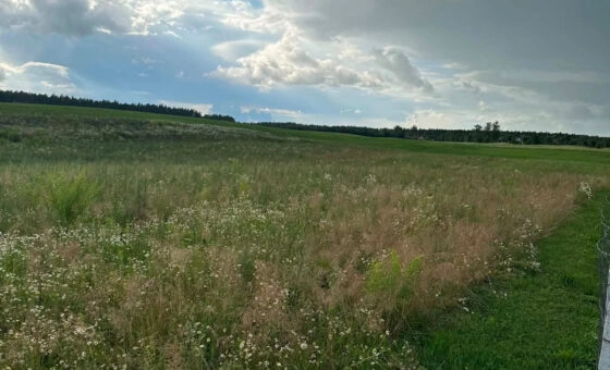 Działka bud. 3.451m2, MPZP, tylko 1 km od jeziora