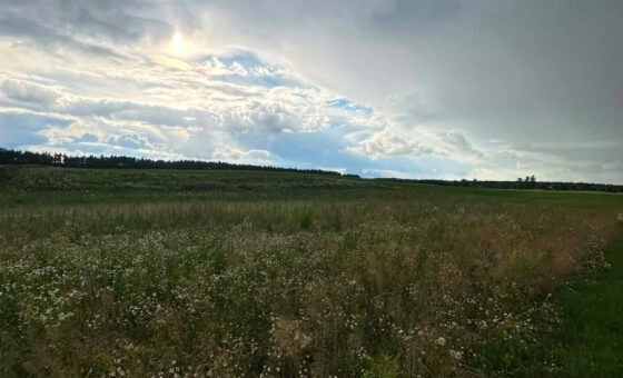 Działka bud. 3.451m2, MPZP, tylko 1 km od jeziora