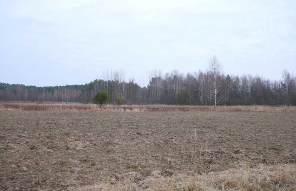 Działka 29,48 ar, Z UZYSKANYMI WARUNKAMI ZABUDOWY