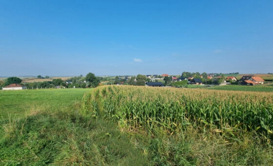 Działka budowlana- Raciborowice, gm. Michałowice