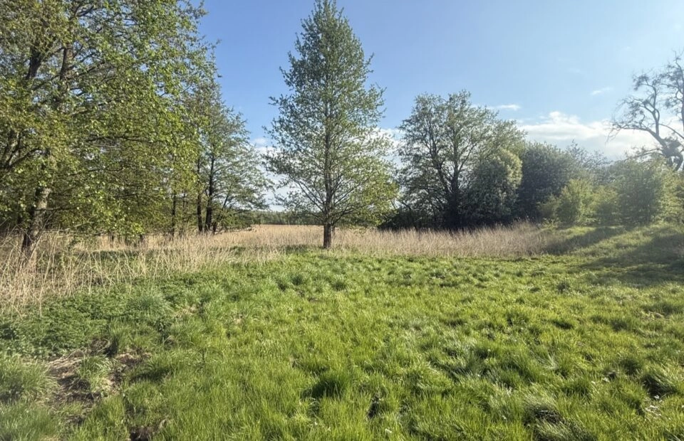WŁASNY KAWAŁEK MAZUR - 3000 m²/ PRZYTUŁY
