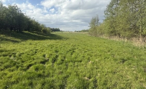 WŁASNY KAWAŁEK MAZUR - 3000 m²/ PRZYTUŁY