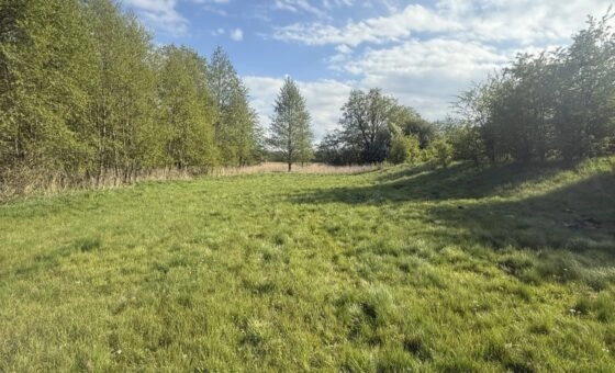 WŁASNY KAWAŁEK MAZUR - 3000 m²/ PRZYTUŁY