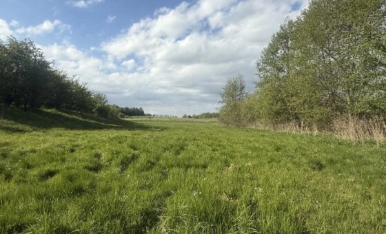 WŁASNY KAWAŁEK MAZUR - 3000 m²/ PRZYTUŁY
