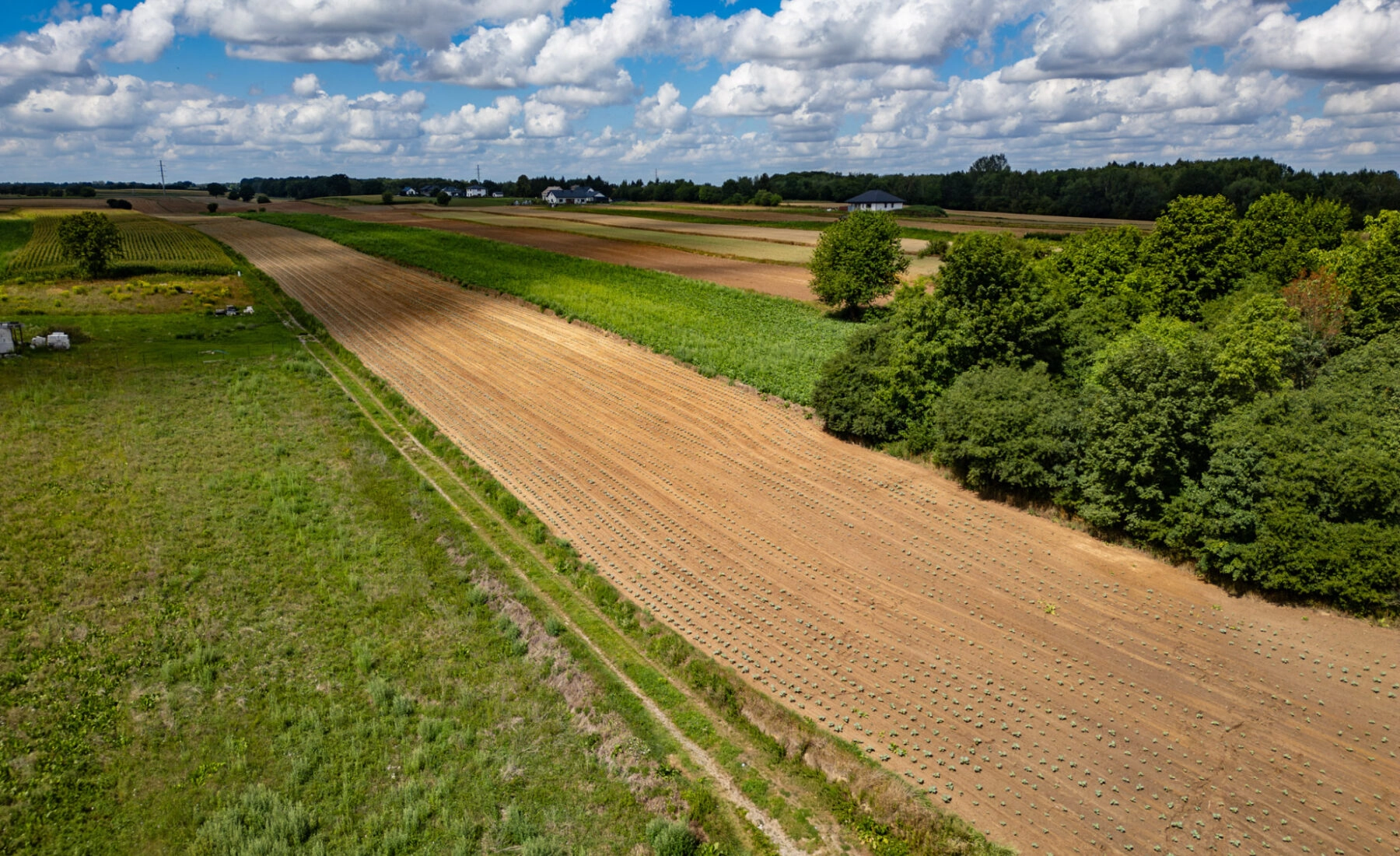 Konopnica – działka z WZ | Atrakcyjna lokalizacja