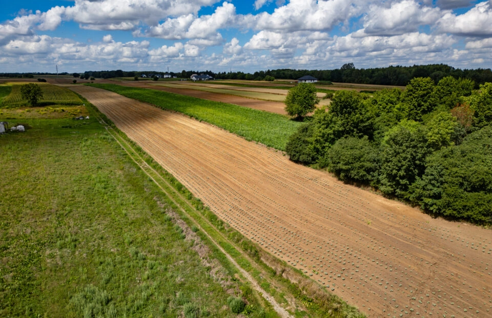 Konopnica – działka z WZ | Atrakcyjna lokalizacja