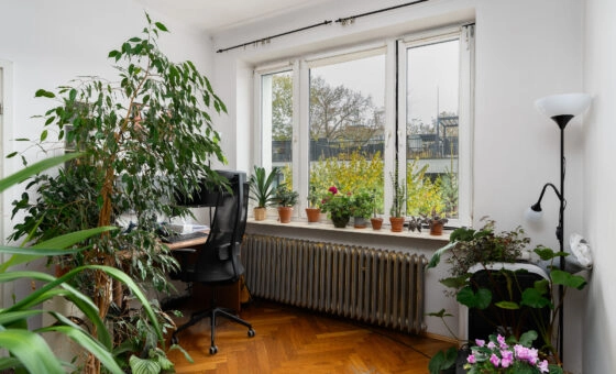Salwator ul. Komorowskiego | poddasze ok.90 m2