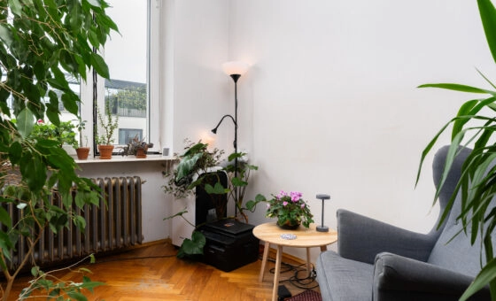 Salwator ul. Komorowskiego | poddasze ok.90 m2