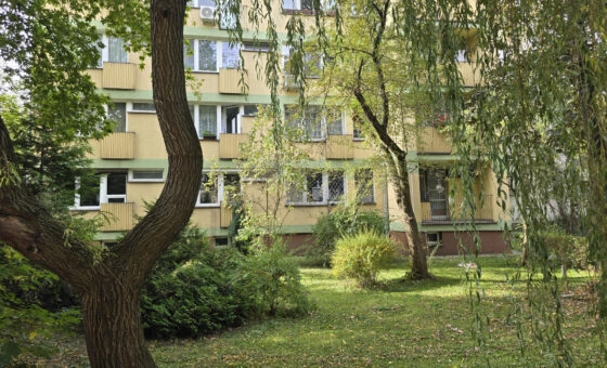 3pokoje, balkon, oddzielna kuchnia |  Do remontu.