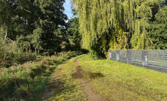 Działka budowlana w Czymanowie o powierzchni 503 m