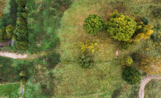 Warkały k. Olsztyna - działka 2600 m² - WZ 3 domy