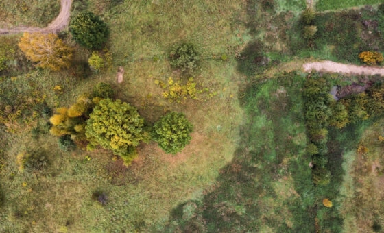 Warkały k. Olsztyna - działka 2600 m² - WZ 3 domy
