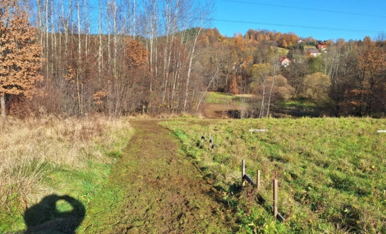 Duża działka z młodym lasem Łyczanka/Siepraw