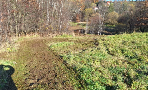 Duża działka z młodym lasem Łyczanka/Siepraw