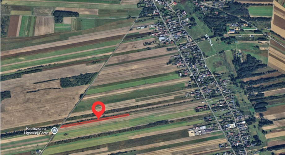 Działka rolna lub pod inwestycję 8790 m²