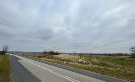 Działka rolna lub pod inwestycję 8790 m²