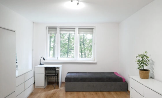 Mieszkanie 2-pokoje z wyremontowaną łazienką