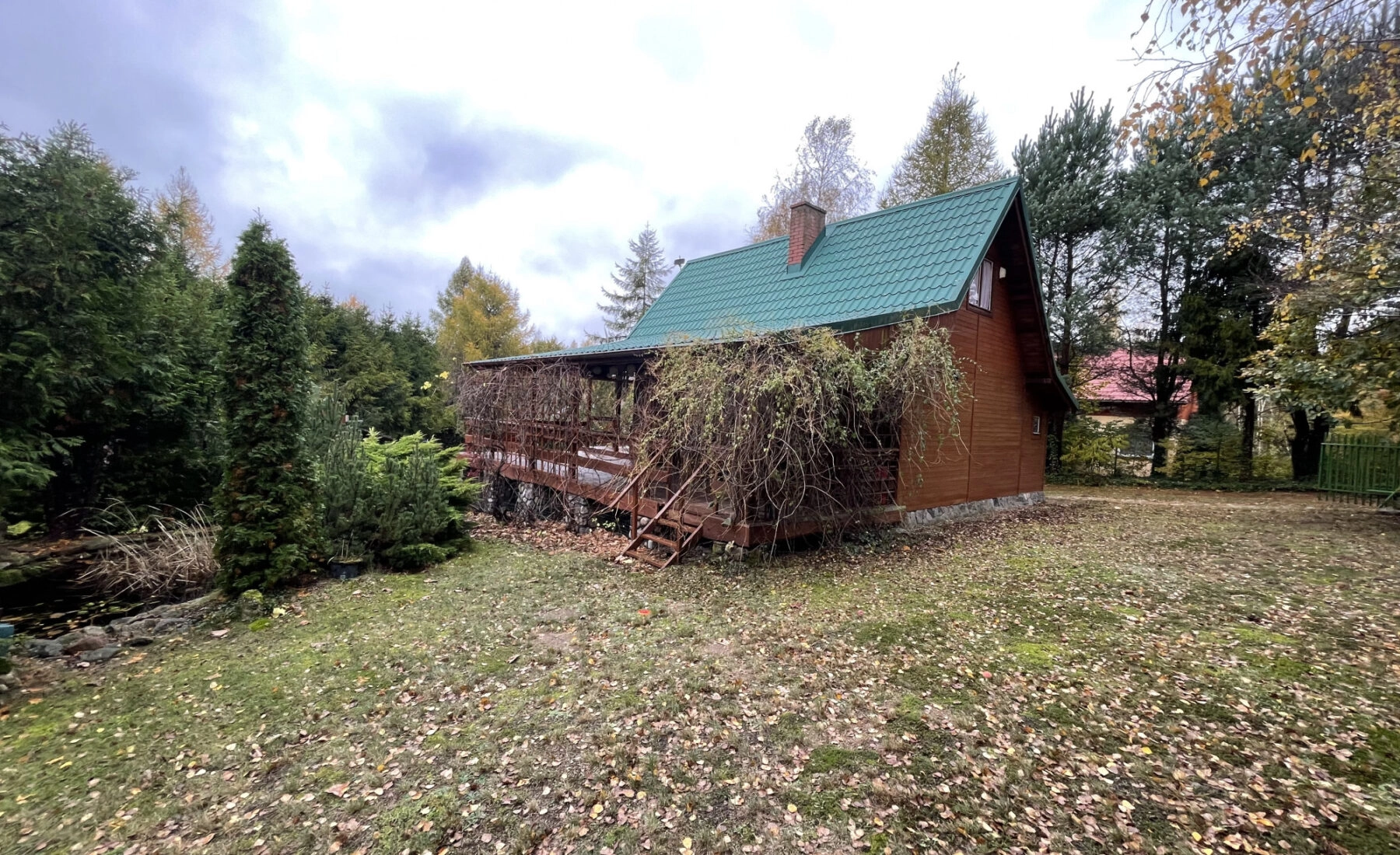 Absolutnie perfekcyjna ucieczka od miasta