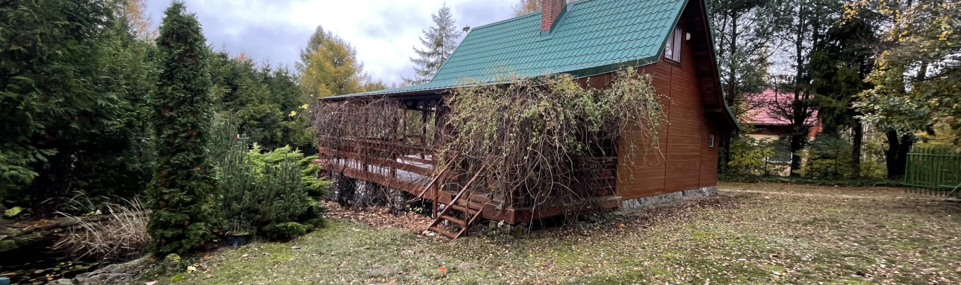 Absolutnie perfekcyjna ucieczka od miasta