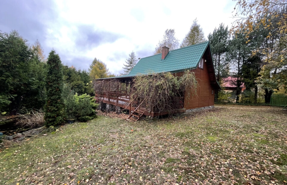 Absolutnie perfekcyjna ucieczka od miasta