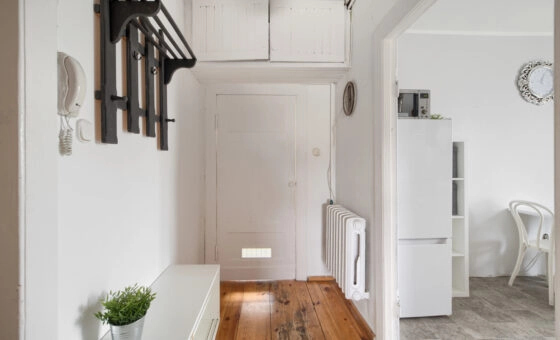 przytulne mieszkanie w sąsiedztwie parku