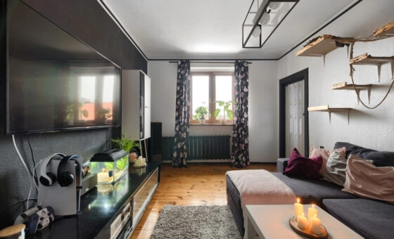 przytulne mieszkanie w sąsiedztwie parku