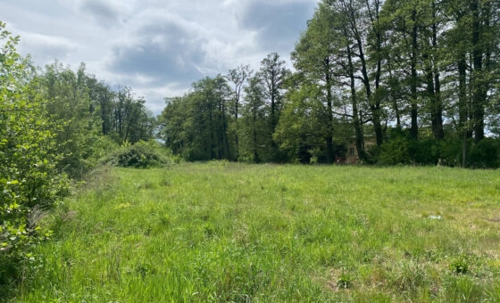 Łódź ul. Rafowa, Stawy Stefańskiego działka 4255 m