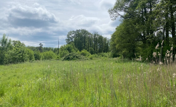 Łódź ul. Rafowa, Stawy Stefańskiego działka 4255 m