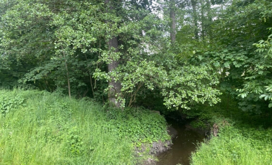 Łódź ul. Rafowa, Stawy Stefańskiego działka 4255 m