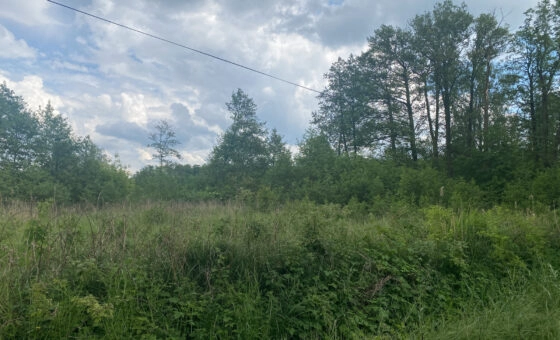 Łódź ul. Rafowa, Stawy Stefańskiego działka 4255 m