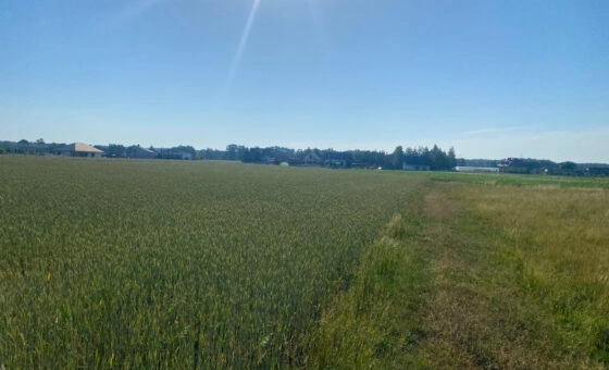 Działka z potencjałem