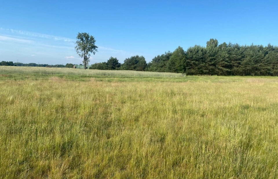 Działka z potencjałem