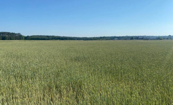 Działka z potencjałem