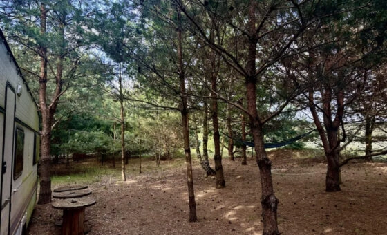 Działka rekreacyjna 1.500 m blisko jeziora