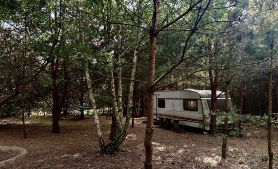 Działka rekreacyjna 1.500 m blisko jeziora