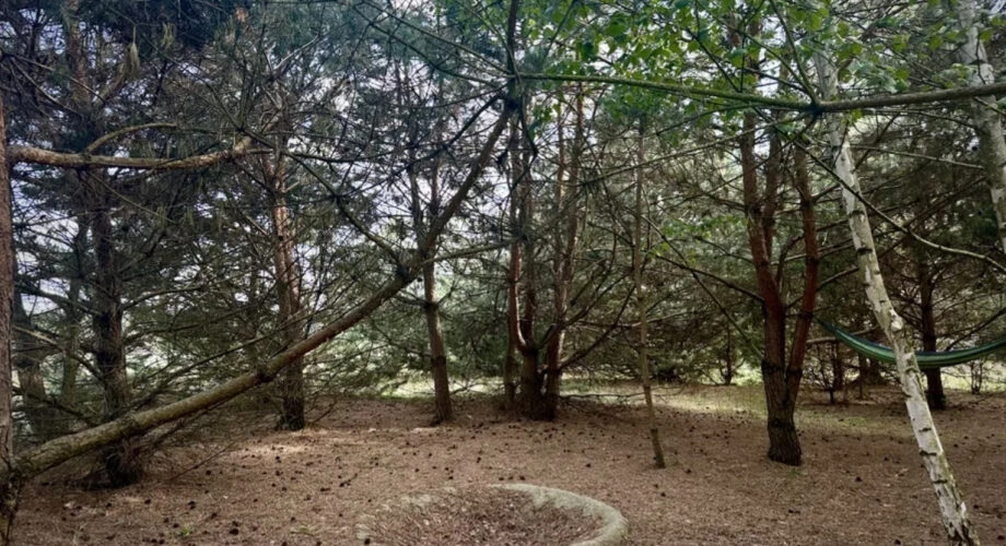 Działka rekreacyjna 1.500 m blisko jeziora