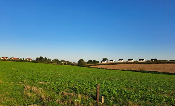 dla dewelopera - blisko Kórnik/s11