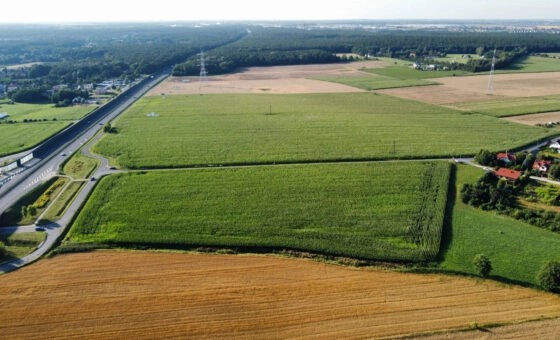 dla dewelopera - blisko Kórnik/s11