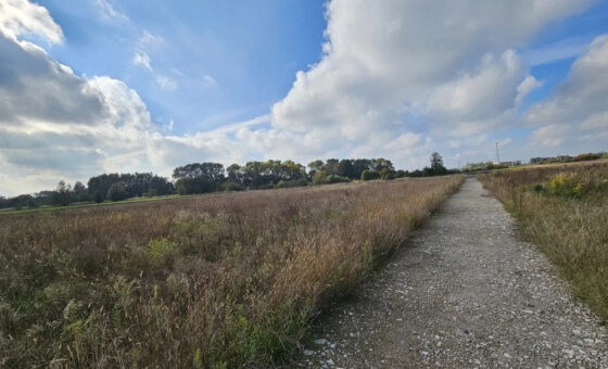 7  działek budowlanych w pięknej i cichej okolicy