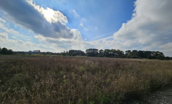 7  działek budowlanych w pięknej i cichej okolicy