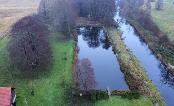 Duża działka z zabudowaniami i MEW, Trzebielino