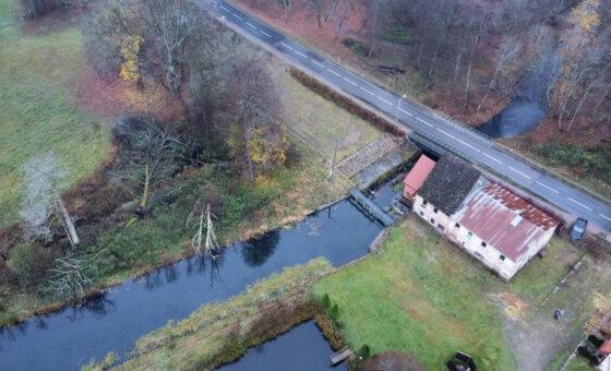 Duża działka z zabudowaniami i MEW, Trzebielino
