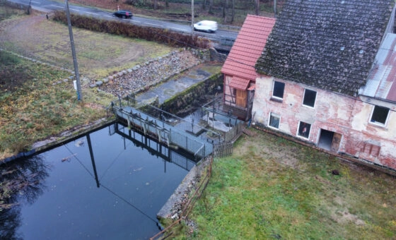 Duża działka z zabudowaniami i MEW, Trzebielino