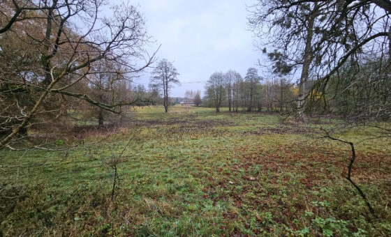 Wyjątkowa działka ponad 7 ha – zalesiona