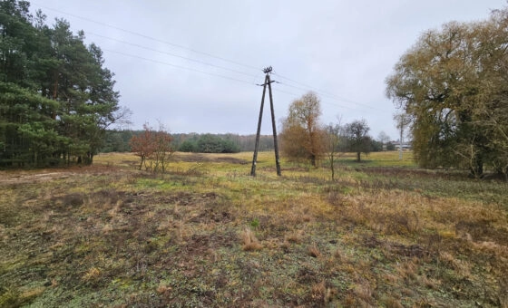 Wyjątkowa działka ponad 7 ha – zalesiona