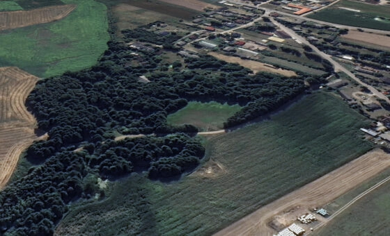 Działka pod zabudowę przemysłową z mpzp pod Mławą