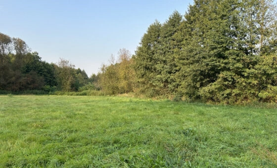 Działka pod zabudowę przemysłową z mpzp pod Mławą