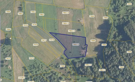 Działka 29,16 ar, Z UZYSKANYMI WARUNKAMI ZABUDOWY