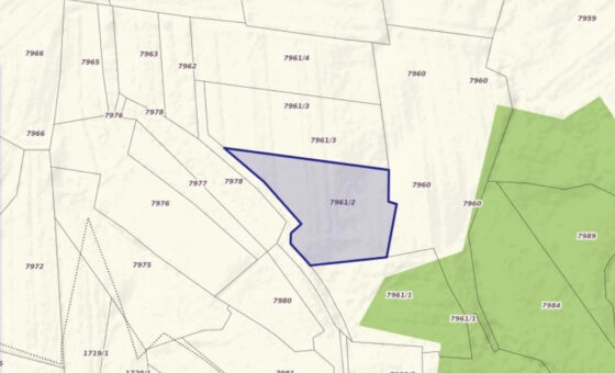 Działka 29,16 ar, Z UZYSKANYMI WARUNKAMI ZABUDOWY