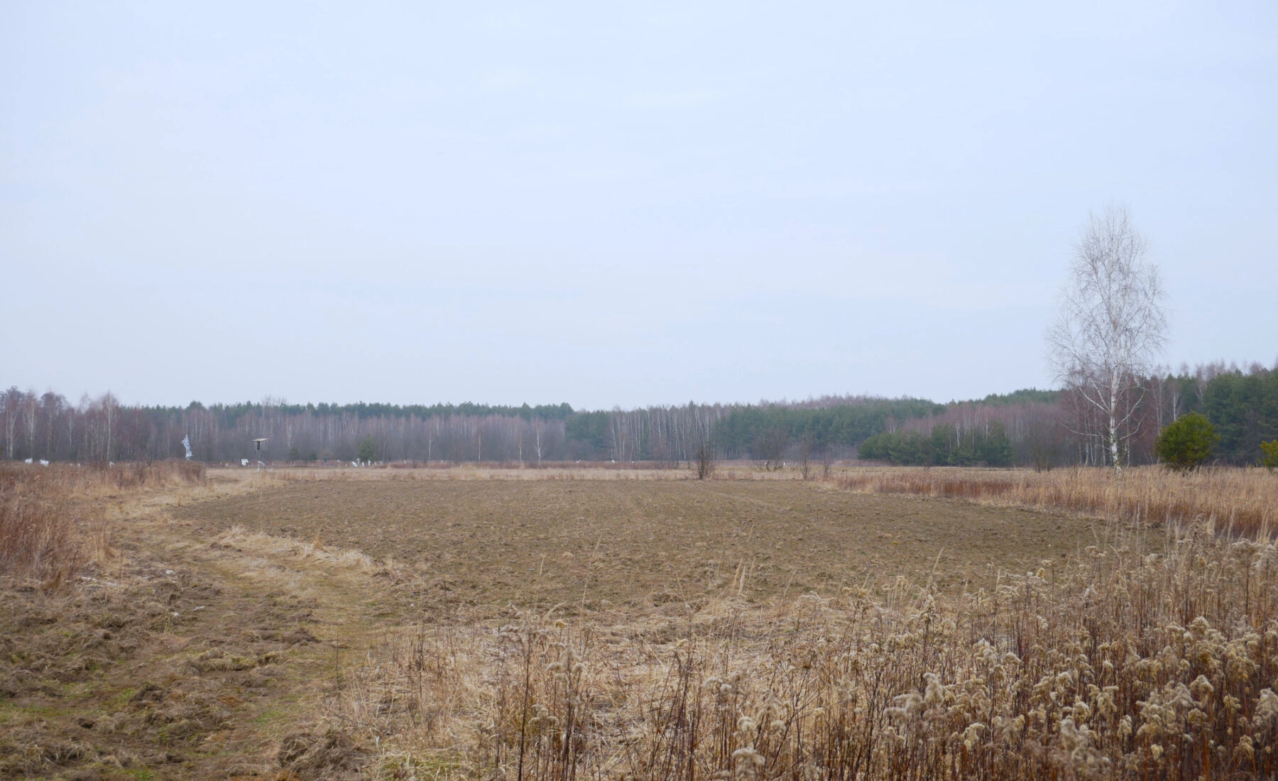 Działka 29,16 ar, Z UZYSKANYMI WARUNKAMI ZABUDOWY